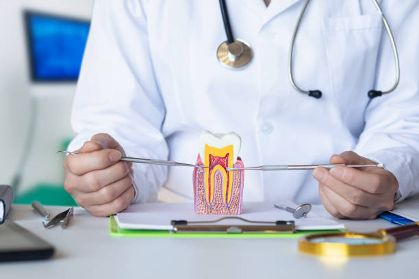 Best Affordable Emergency Dental Care  in Forest Glen, MD